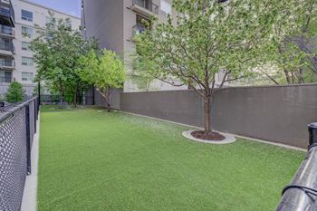A tree in a small garden in front of a building.